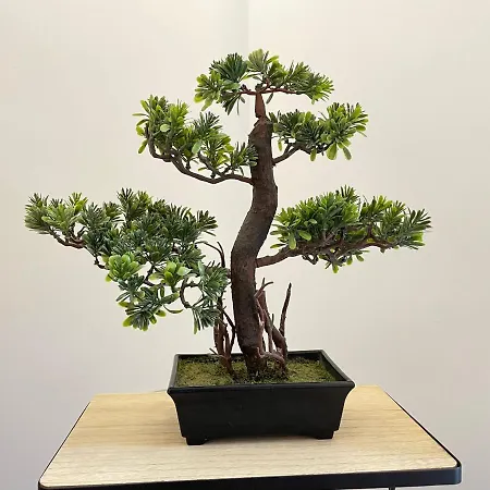 Gav Remedios アパート