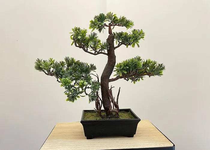 Gav Remedios Διαμέρισμα